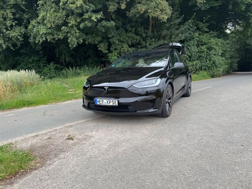 Model X