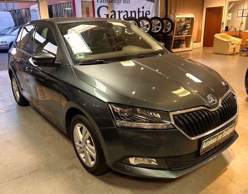 Skoda Fabia 90.000 km 10.555 € Bochum 44791
