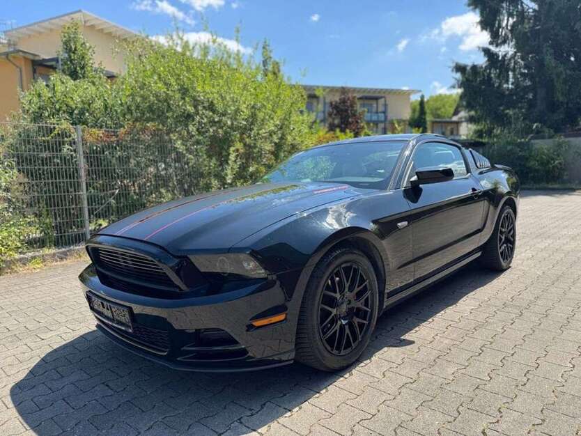 Mustang