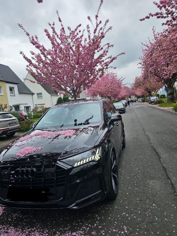 Q7