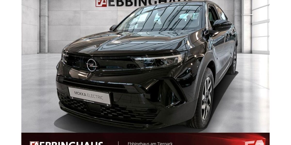 Opel Mokka-e 2.350 km 32.199 &euro; Dortmund 44225