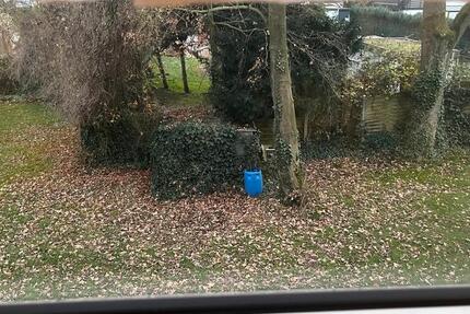 Schöne, ruhige Wohnung in Waldnähe – möbliert 2 zimmer