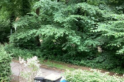 Wohnung Gelsenkirchen Ückendorf - 2.5 Zimmer, 81 m&sup2;, 679&euro; | Angebot:25153085