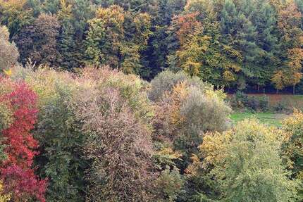 Wohnung zum Mieten in Velbert 550 € 70 m² 2 zimmer