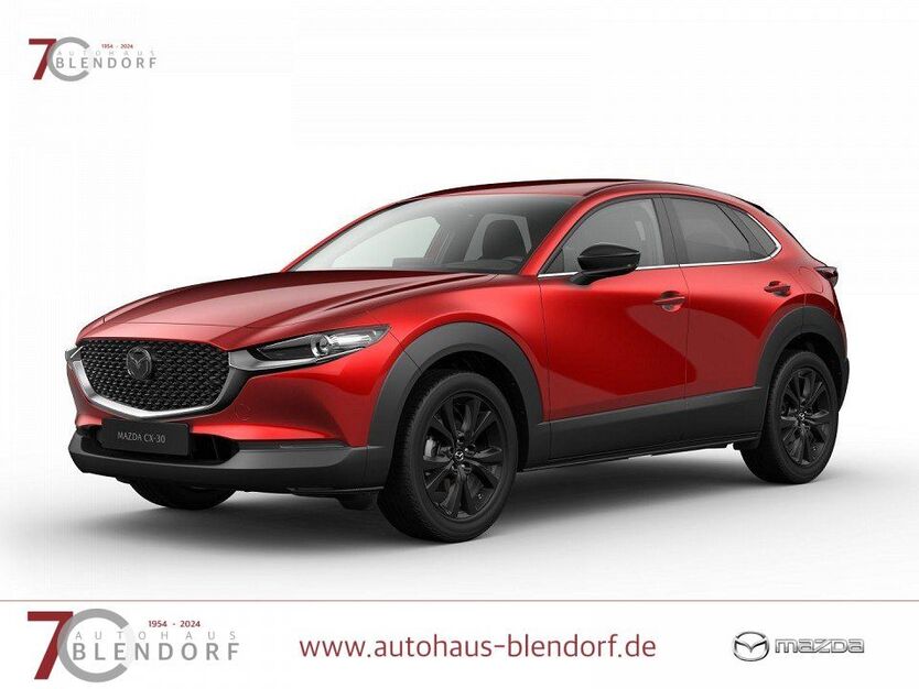 CX-30