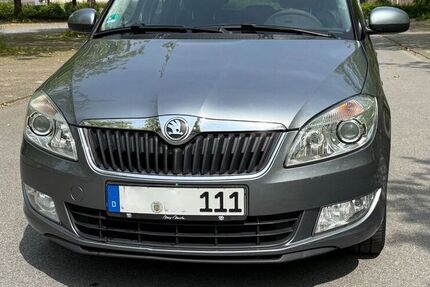 Skoda Roomster