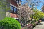 Etagenwohnung Essen Werden - 2 Zimmer, 67 m&sup2;, 198.000&euro; | Angebot:26607083