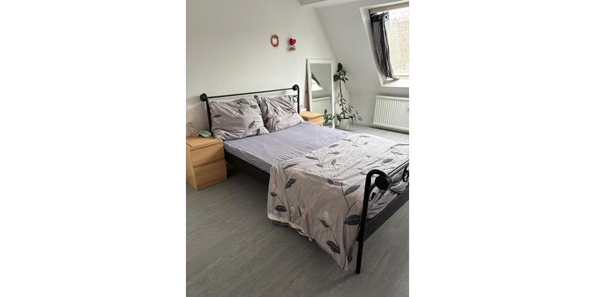 Wohnung zu vermieten – verfügbar ab 01. März 1 zimmer