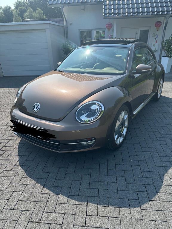 Beetle