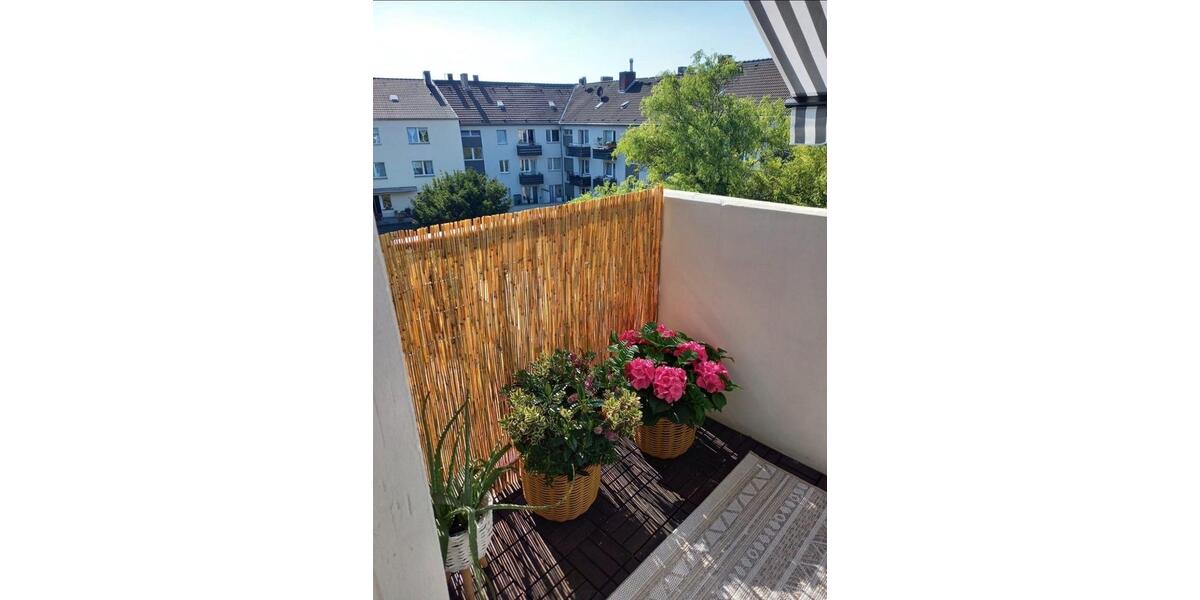 1,5 Raum Wohnung mit Balkon 1 zimmer