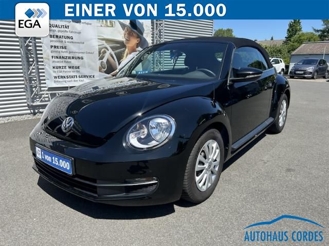 Beetle