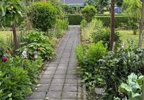 Schöner Garten 400 qm