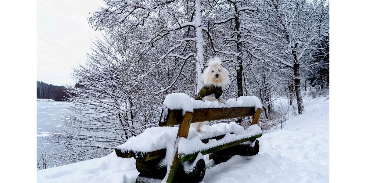 Ferienimmobilie Marl - 290&euro; | Angebot:24433739