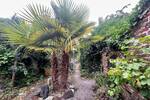 Charmante Doppelhaushälfte mit Garten in Bottrop
