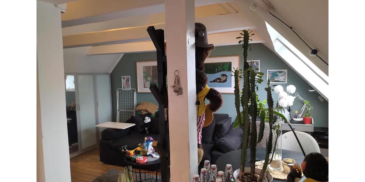 Dachgeschoßwohnung Dortmund Aplerbeck - 1 Zimmer, 28 m&sup2;, 390&euro; | Angebot:25367730