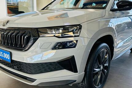 Skoda Karoq 88.700 km 26.390 &euro; Wetter 58300