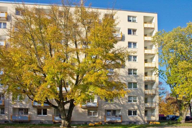 Etagenwohnung Essen Leithe - 2 Zimmer, 65 m&sup2;, 579&euro; | Angebot:26876456