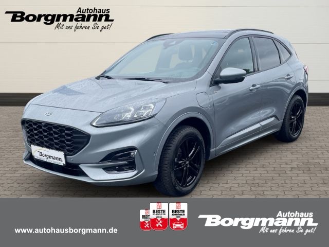 Kuga
