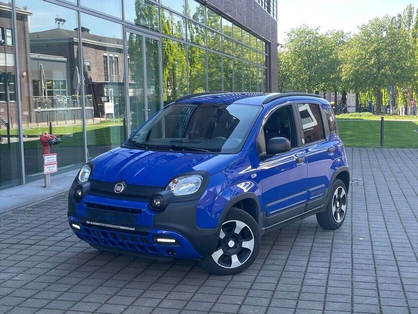Panda
