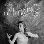 Agnes Obel