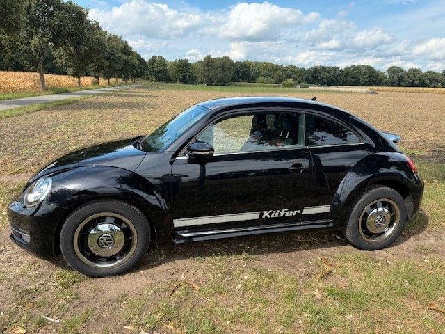 Beetle