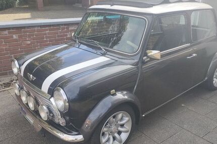 Rover Andere