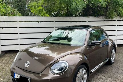 VW Beetle