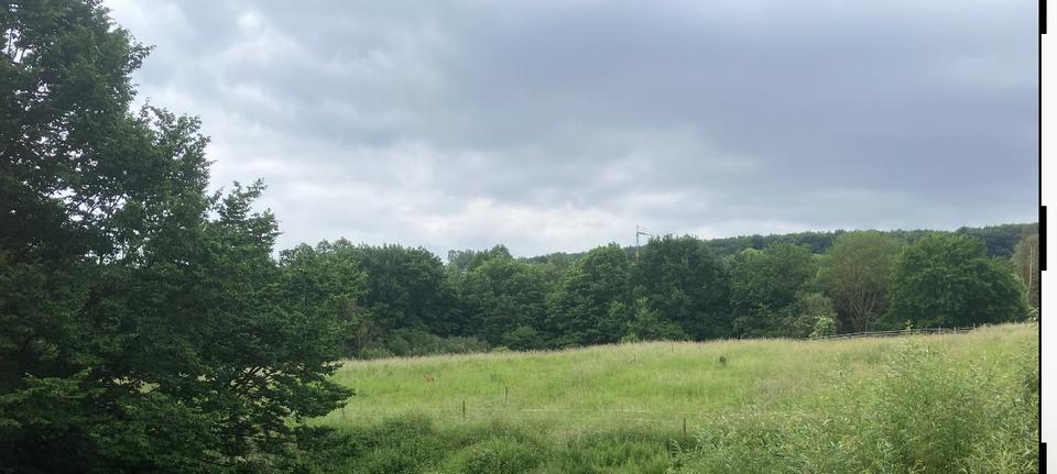 Neubau DH in einzigartiger Lage in Aplerbecker Mark 5.5 zimmer