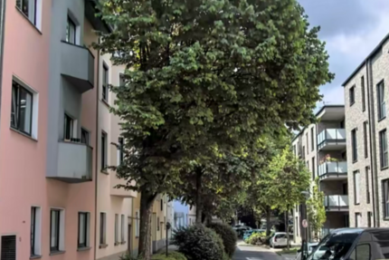 Wohnung zum Mieten in Essen 670 € 95 m² 3 zimmer