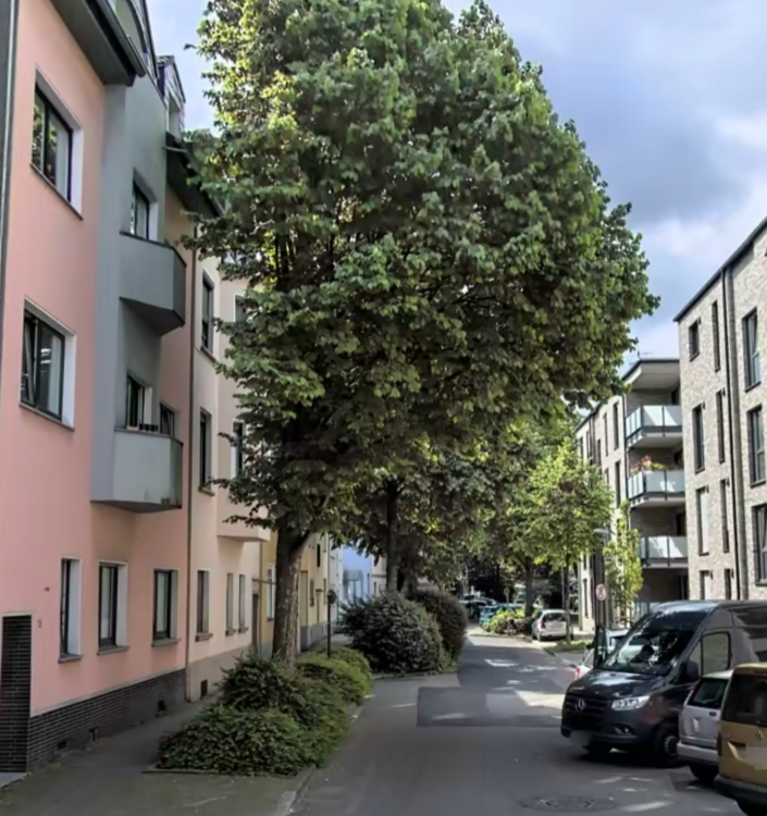 Wohnung zum Mieten in Essen 670 € 95 m² 3 zimmer