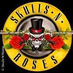 Skulls'n'roses - Guns'n'roses Tribute