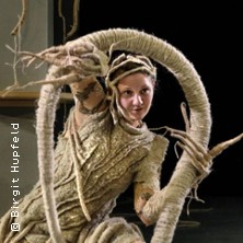 Wir Tiere 17.05.2026 Kinder- und Jugendtheater (KJT)