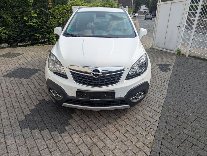 Mokka