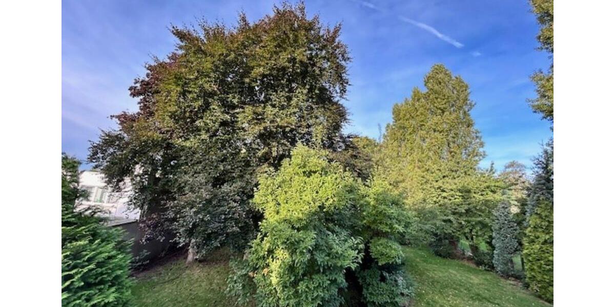 Erdgeschoßwohnung Oberhausen Biefang - 3 Zimmer, 86 m&sup2;, 860&euro; | Angebot:24979699