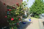 Einfamilienhaus Essen Frintrop - 6 Zimmer, 940.000&euro; | Angebot:26344694