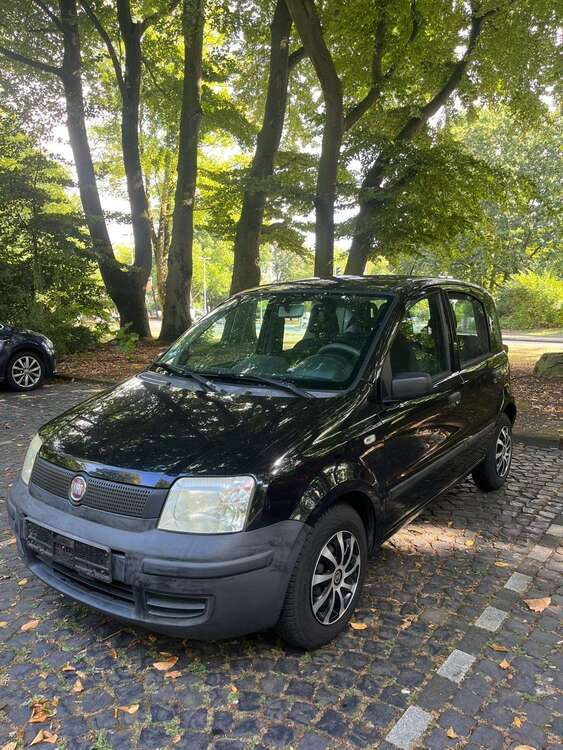 Panda