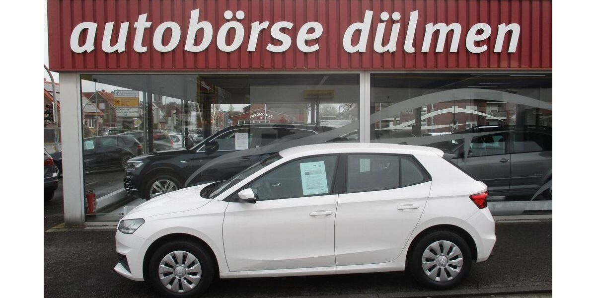 Skoda Fabia 113.651 km 11.999 &euro; Dülmen 48249