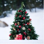 Weihnachtsmenü