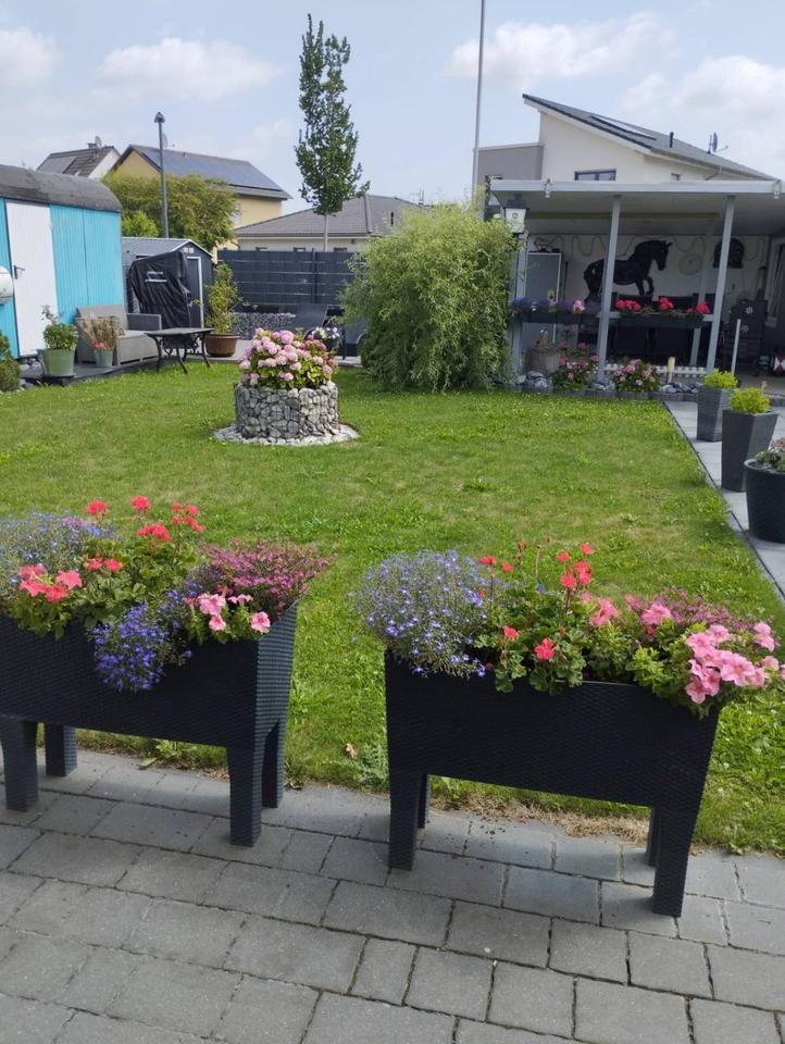 Ohne Makler: Bungalow (Barrierefreimit Pool) in Dortmund-Brecht. zimmer