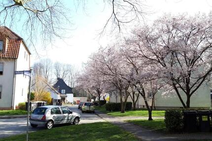 Demnächst frei! 1-Zimmer-Wohnung in Bochum Werne 1 zimmer
