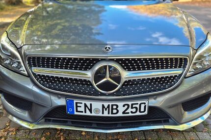 Mercedes-Benz CLS 250 Shooting Brake 183.000 km 21.990 &euro; Hattingen 45525