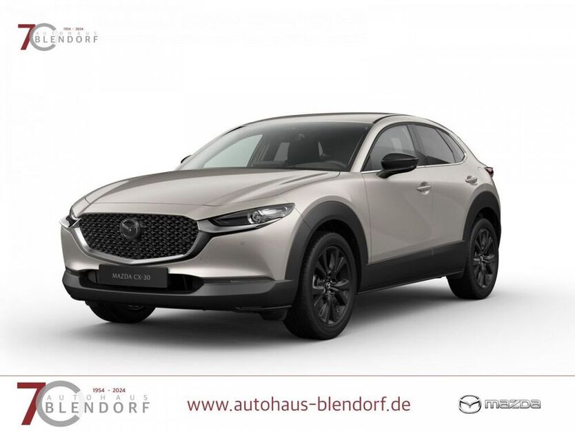 CX-30