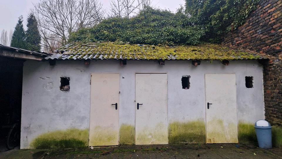 Top Kapitalanlage Mehrfamilienhaus zimmer