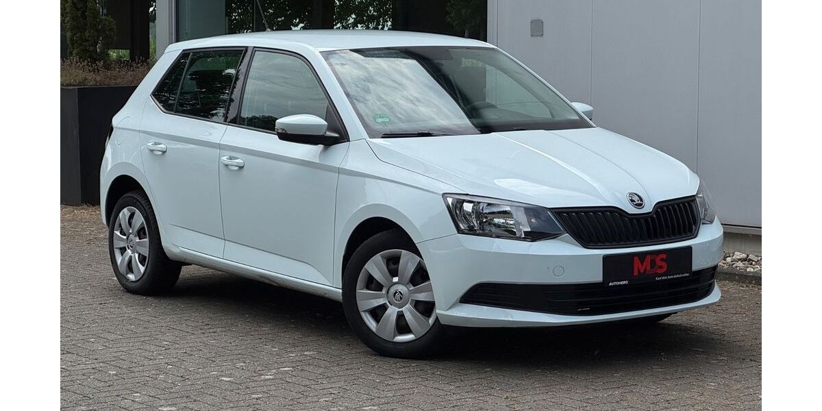 Skoda Fabia 70.000 km 7.990 &euro; Dülmen 48249