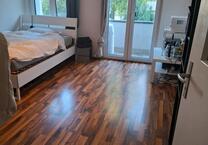 1-Zimmer die Wohnung