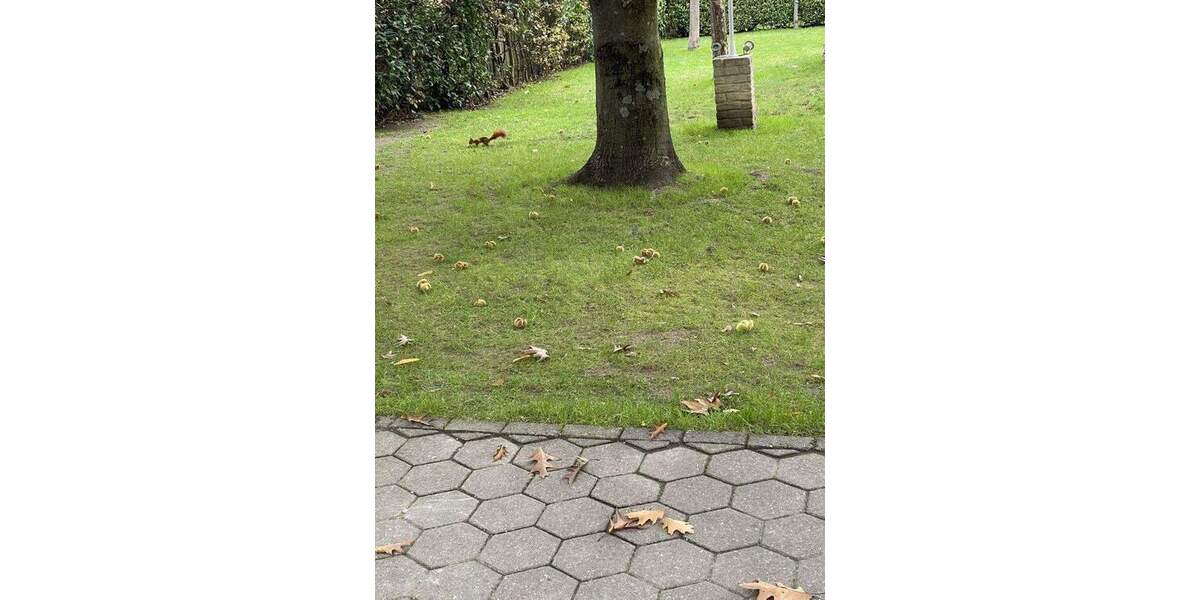 Wohnen und Arbeiten: Stilvolles Mehrfamilien- und Geschäftshaus mit großem Garten. 1 zimmer