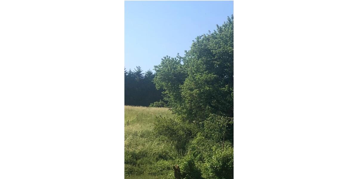 Neubau DH in einzigartiger Lage in Aplerbecker Mark 5.5 zimmer