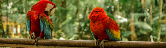 Tierpark Recklinghausen