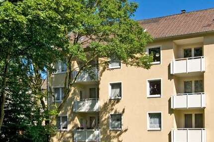 Wohnung Gladbeck Brauck - 3 Zimmer, 62 m&sup2;, 489&euro; | Angebot:26865039