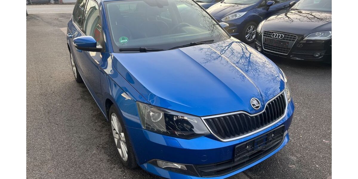 Skoda Fabia 98.000 km 7.699 &euro; Recklinghausen 45663